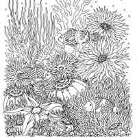 Underwater World coloring pages for Adults