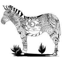 Zebra coloring pages for Adults