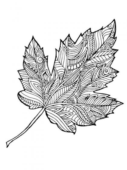 Leaves coloring pages for Adults