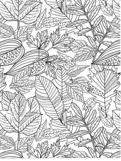 Leaves coloring pages for Adults