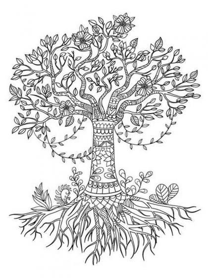 Oak coloring pages for Adults